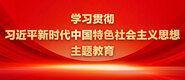 黄片大操学习贯彻习近平新时代中国特色社会主义思想主题教育_fororder_ad-371X160(2)